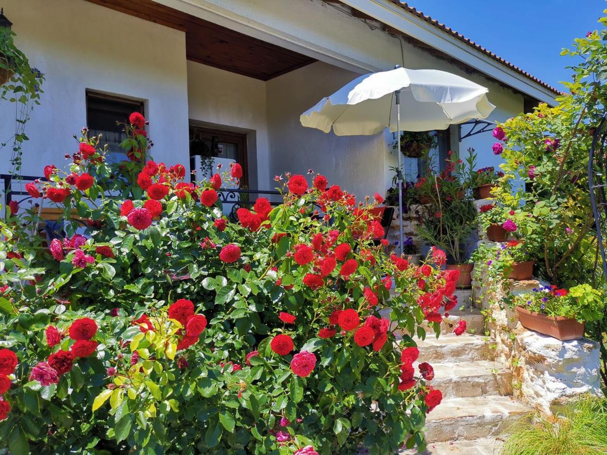 House Albena Durankulak Exterior foto
